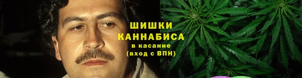 бошки Алексин