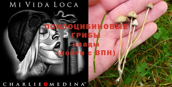 гашиш Алексеевка