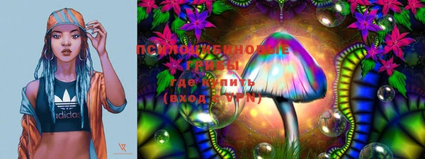 ECSTASY Алзамай