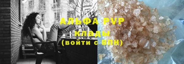 ECSTASY Алзамай