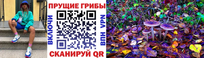 Псилоцибиновые грибы мицелий Тобольск