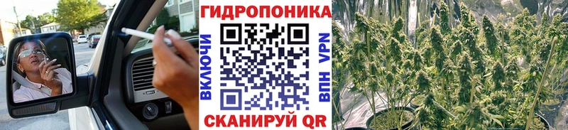 Каннабис план гидра зеркало Тобольск